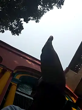 Snapshot of xx54362 chatting on March 1, 2025, 7:19 am xx54362 online show from March 1, 2025, 7:19 am