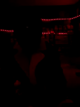 Snapshot of Blade_Ryder666 chatting on December 17, 2025, 7:57 am Blade Ryder666 online show from December 17, 2025, 7:57 am