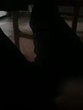 Snapshot of Enrrre chatting on April 16, 2026, 10:56 pm Enrrre online show from April 16, 2026, 10:56 pm