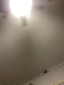 biggzee6 online show from February 19, 2025, 12:46 am