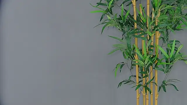 Snapshot of PatriciaSpice chatting on March 3, 2026, 5:14 am PatriciaSpice online show from March 3, 2026, 5:14 am