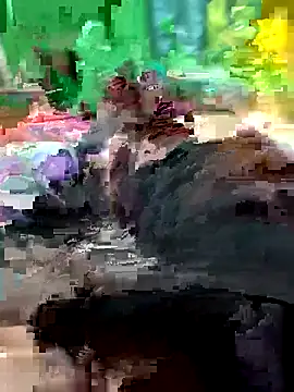 Raj41 online show from February 14, 2026, 11:54 am