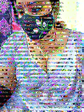 Queenflowerr online show from November 17, 2025, 9:46 am