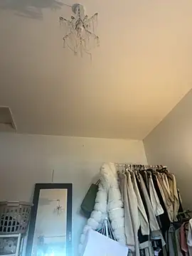 blissdimicco online show from December 14, 2025, 2:00 pm