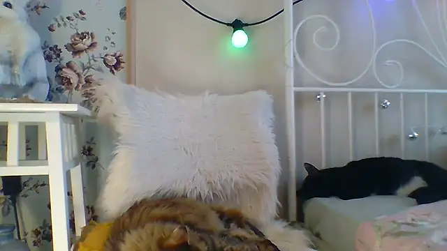 Snapshot of Frankie_Foxie chatting on February 18, 2025, 6:04 am Frankie Foxie online show from February 18, 2025, 6:04 am