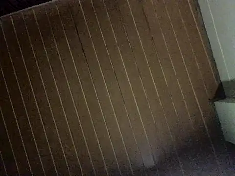 Snapshot of Nooneisthis chatting on December 3, 2025, 6:36 am Nooneisthis online show from December 3, 2025, 6:36 am