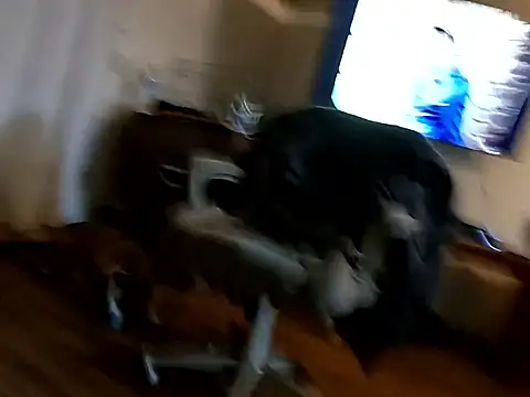 Johndis805 online show from November 19, 2025, 5:29 am