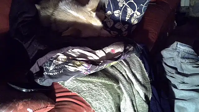 Damn bro23 online show from January 15, 2026, 12:47 am