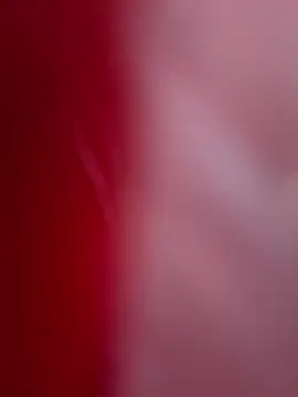 Snapshot of ALEXANDRA95 chatting on February 11, 2025, 4:44 am ALEXANDRA95 online show from February 11, 2025, 4:44 am