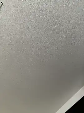 PhattPinxkTaco online show from September 16, 2025, 8:32 pm