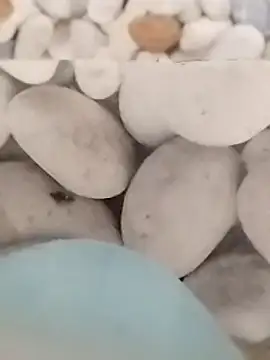 Snapshot of Playboy_bhabhi_00 chatting on February 27, 2025, 5:51 am Playboy bhabhi 00 online show from February 27, 2025, 5:51 am