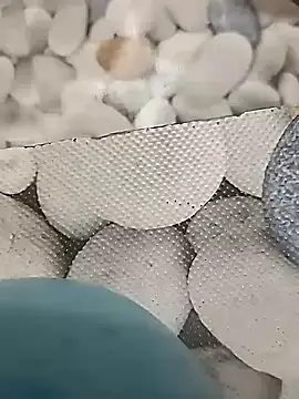 Snapshot of Playboy_bhabhi_00 chatting on February 14, 2025, 8:42 am Playboy bhabhi 00 online show from February 14, 2025, 8:42 am