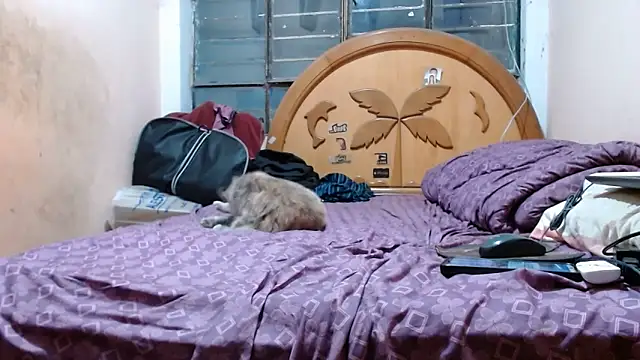 nakedlima online show from October 31, 2025, 5:15 am