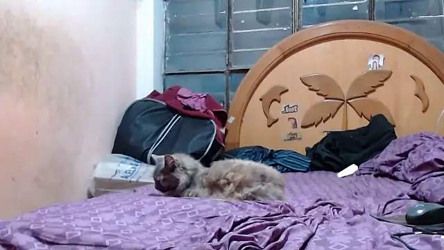 nakedlima online show from October 27, 2025, 6:58 am