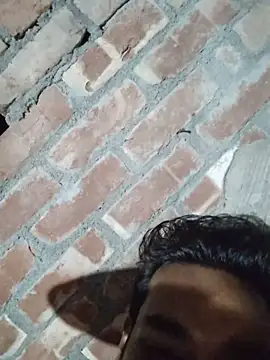 birds0641 online show from September 29, 2025, 5:51 pm