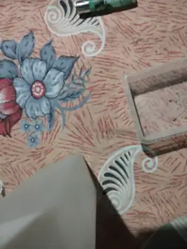 birds0641 online show from April 6, 2026, 6:20 pm