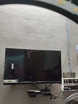 birds0641 online show from October 27, 2025, 6:20 pm