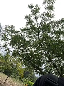 arevalo1124 online show from December 2, 2025, 9:16 pm