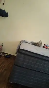 Snapshot of JapeDoBryan chatting on May 16, 2026, 6:29 pm JapeDoBryan online show from May 16, 2026, 6:29 pm