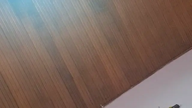 Snapshot of kyliebigboobs chatting on September 30, 2025, 2:01 pm kyliebigboobs online show from September 30, 2025, 2:01 pm