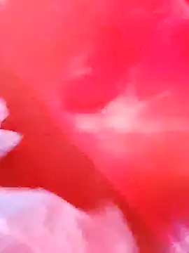 Snapshot of dominationmybigdick chatting on December 3, 2025, 9:53 am dominationmybigdick online show from December 3, 2025, 9:53 am