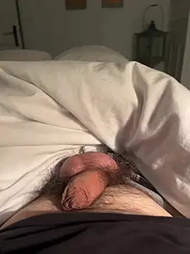 Avignon1963 online show from April 11, 2026, 7:17 pm