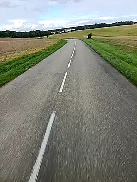 Dam70 online show from October 9, 2025, 11:00 am