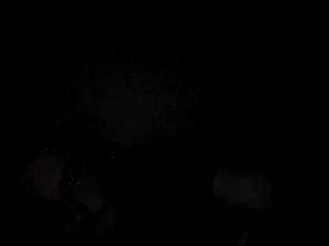 Foxtrott 242 online show from September 8, 2025, 11:48 pm