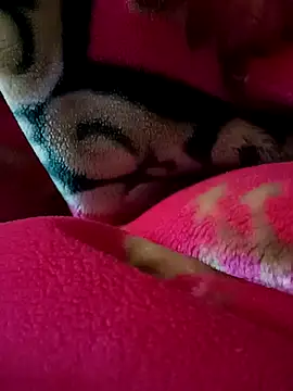 Arabian online show from February 27, 2025, 9:14 pm