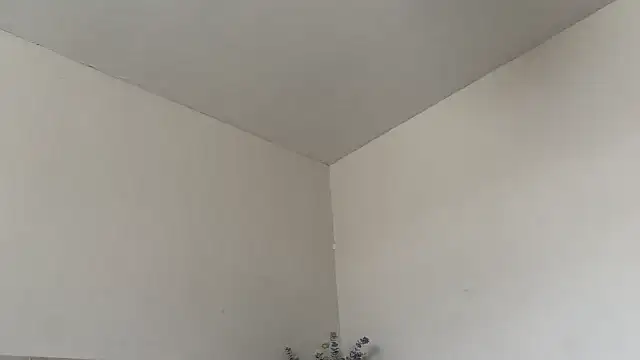 Snapshot of skyejde chatting on March 28, 2026, 9:54 am skyejde online show from March 28, 2026, 9:54 am