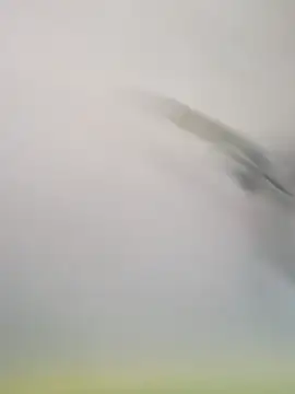 Snapshot of Yashkumar_0697 chatting on November 16, 2025, 8:19 am Yashkumar 0697 online show from November 16, 2025, 8:19 am