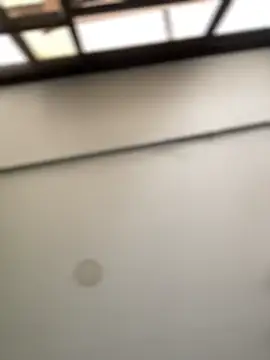 Dulce  Boyd online show from February 20, 2026, 2:08 pm