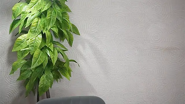 Snapshot of GwenBottrellv chatting on February 7, 2025, 9:48 pm GwenBottrellv online show from February 7, 2025, 9:48 pm