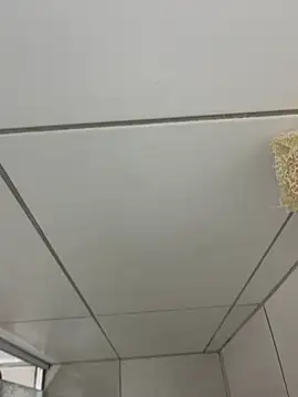 Snapshot of MateusBH123 chatting on January 13, 2026, 2:37 am MateusBH123 online show from January 13, 2026, 2:37 am