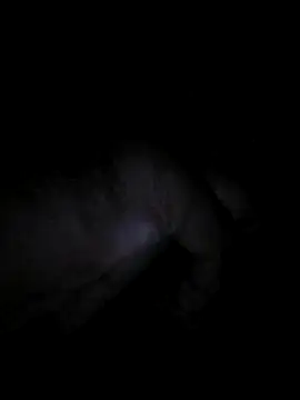 Snapshot of bong_crave chatting on November 2, 2025, 6:35 pm bong crave online show from November 2, 2025, 6:35 pm