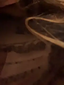 aurora coldd online show from April 11, 2026, 9:29 pm