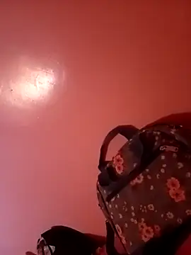 Dlo3a sixi-arbi online show from November 1, 2025, 11:37 am