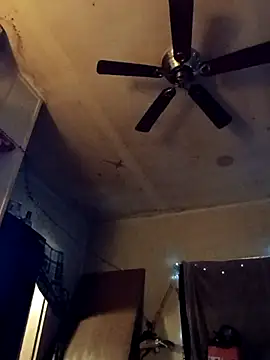 birdg online show from October 31, 2025, 3:41 pm