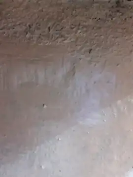 Snapshot of Lizza_boudi chatting on February 24, 2025, 4:15 pm Lizza boudi online show from February 24, 2025, 4:15 pm