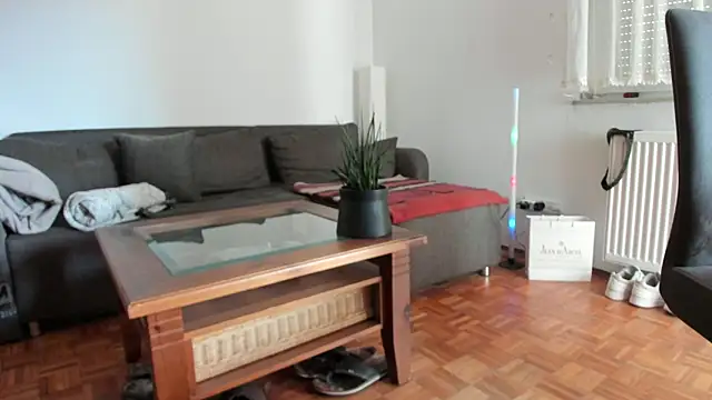 molicaremolicare online show from November 13, 2025, 10:30 am