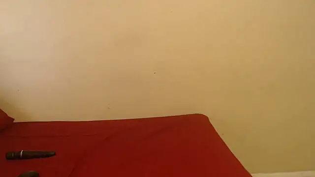 Snapshot of PinkMagic chatting on September 15, 2025, 12:27 pm PinkMagic online show from September 15, 2025, 12:27 pm