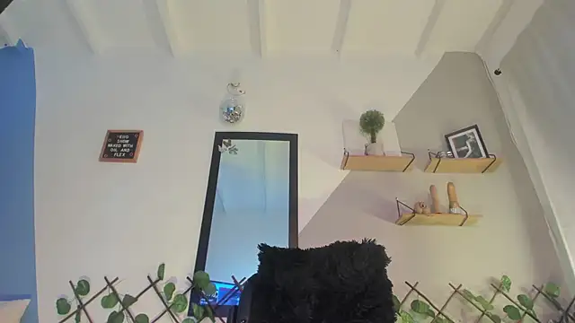 Aria fitness online show from April 14, 2026, 2:11 pm