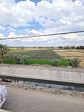 Loly2025 online show from April 7, 2026, 1:24 pm