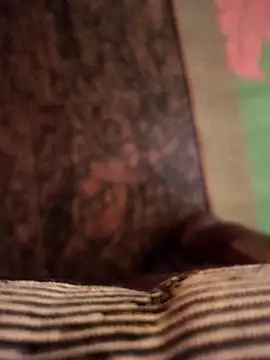 cocktony online show from November 7, 2025, 10:31 am