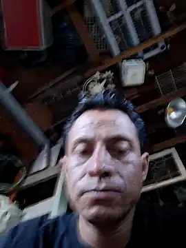 salchichon 69 online show from May 1, 2026, 2:33 pm