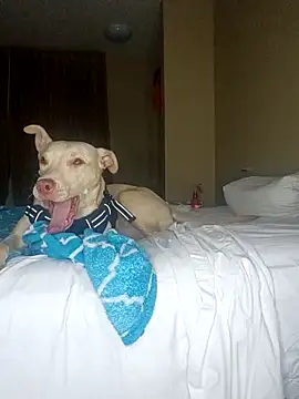 Snapshot of KingSlim56 chatting on December 18, 2025, 2:05 am KingSlim56 online show from December 18, 2025, 2:05 am