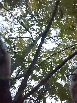 Snapshot of HTXBELLE chatting on November 29, 2025, 11:05 pm HTXBELLE online show from November 29, 2025, 11:05 pm