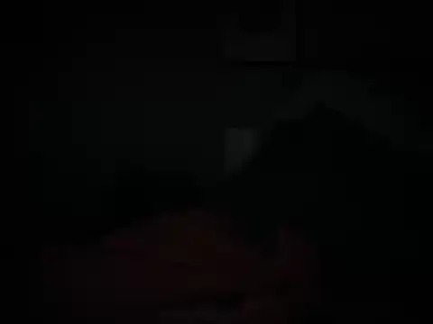 DominantDong online show from February 10, 2026, 1:37 am