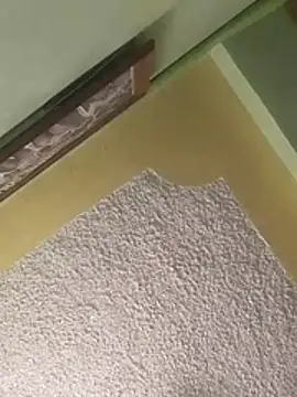 calme odl1 online show from March 24, 2026, 10:26 am