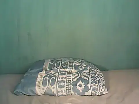 Snapshot of perfectionist chatting on March 20, 2025, 9:04 am perfectionist online show from March 20, 2025, 9:04 am